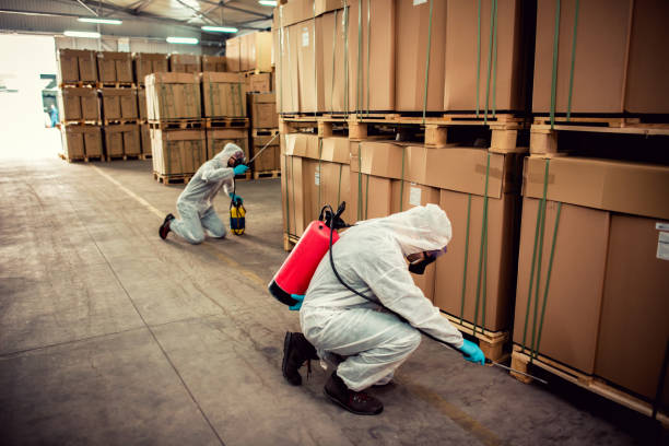 Best Best Pest Control Near Me  in Blue Mound, IL