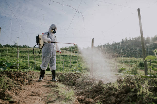 Best Local Pest Control Services  in Blue Mound, IL