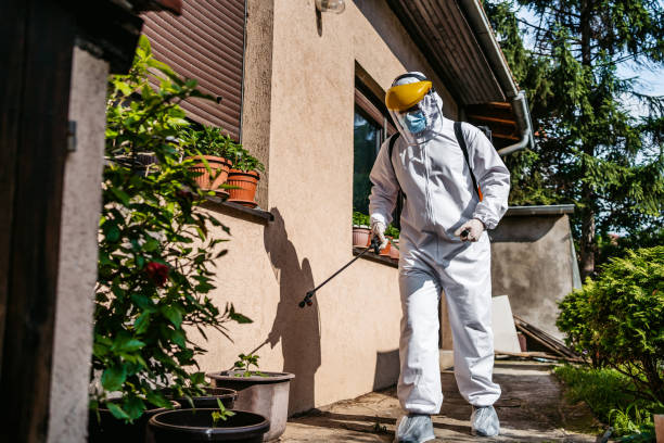 Best Affordable Pest Control Services  in Blue Mound, IL