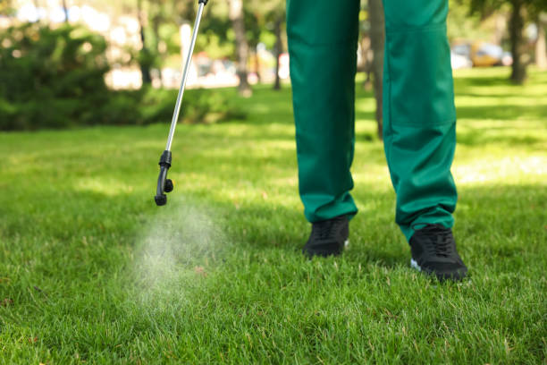 Best Pest Control Near Me  in Blue Mound, IL