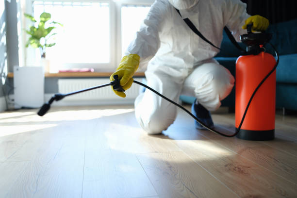 Best Emergency Pest Control  in Blue Mound, IL