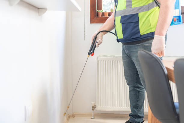 Best Local Pest Control Services  in Blue Mound, IL