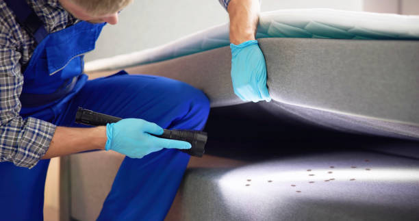 Best Rat Extermination Near Me  in Blue Mound, IL