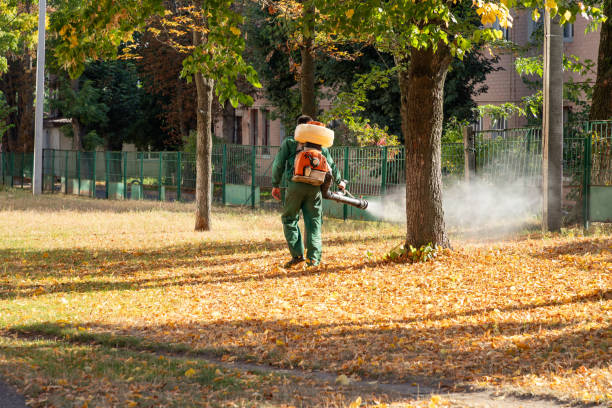 Best Rodent Control Near Me  in Blue Mound, IL