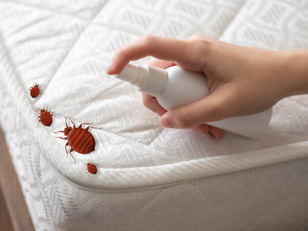 Best Pest Control Near Me  in Blue Mound, IL