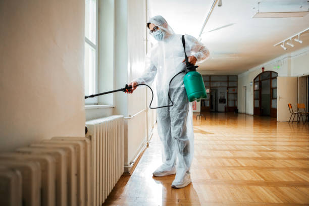 Trusted Blue Mound, IL Pest Control Experts