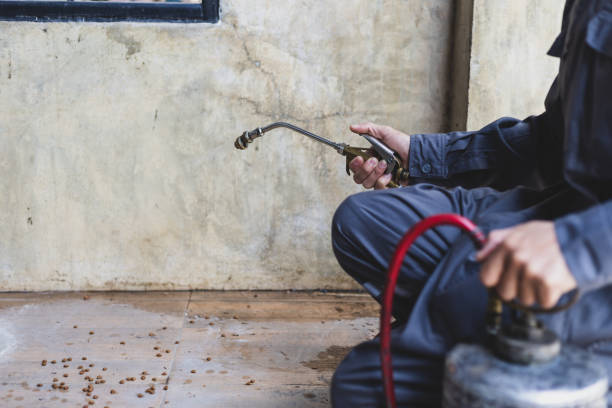 Best Flea Control Services  in Blue Mound, IL
