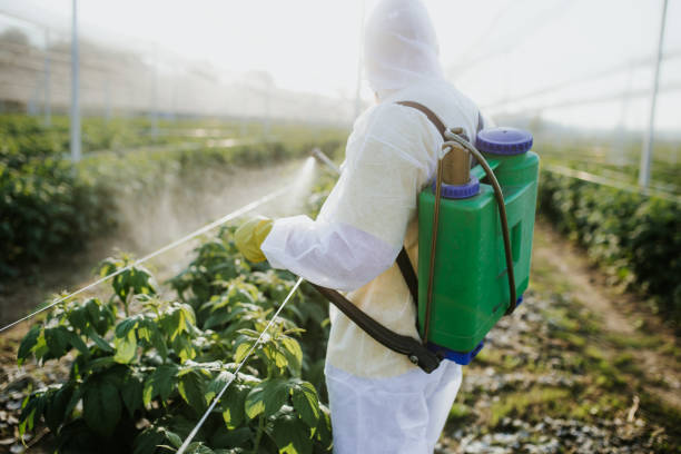 Flea Control Services in Blue Mound, IL